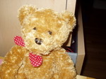 Bear Series Number Three.