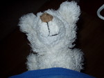 This is Bear Series Number One.